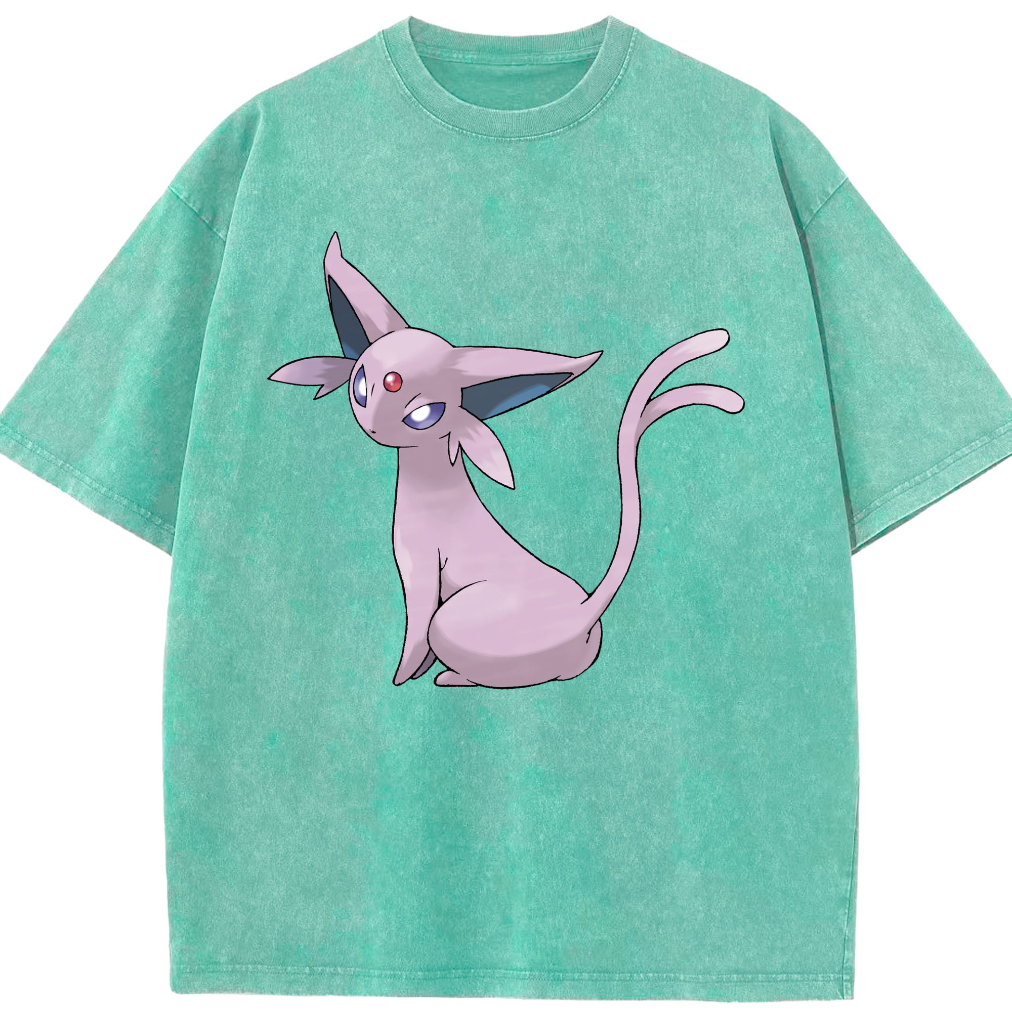 （画像用） ポケットモンスター Pokémon 綿100% ヴィンテージ風 半袖Tシャツ（フロントプリント）
